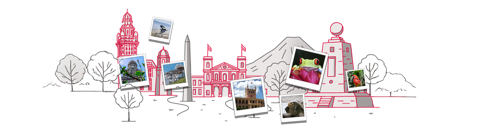 Descripción de la imagen